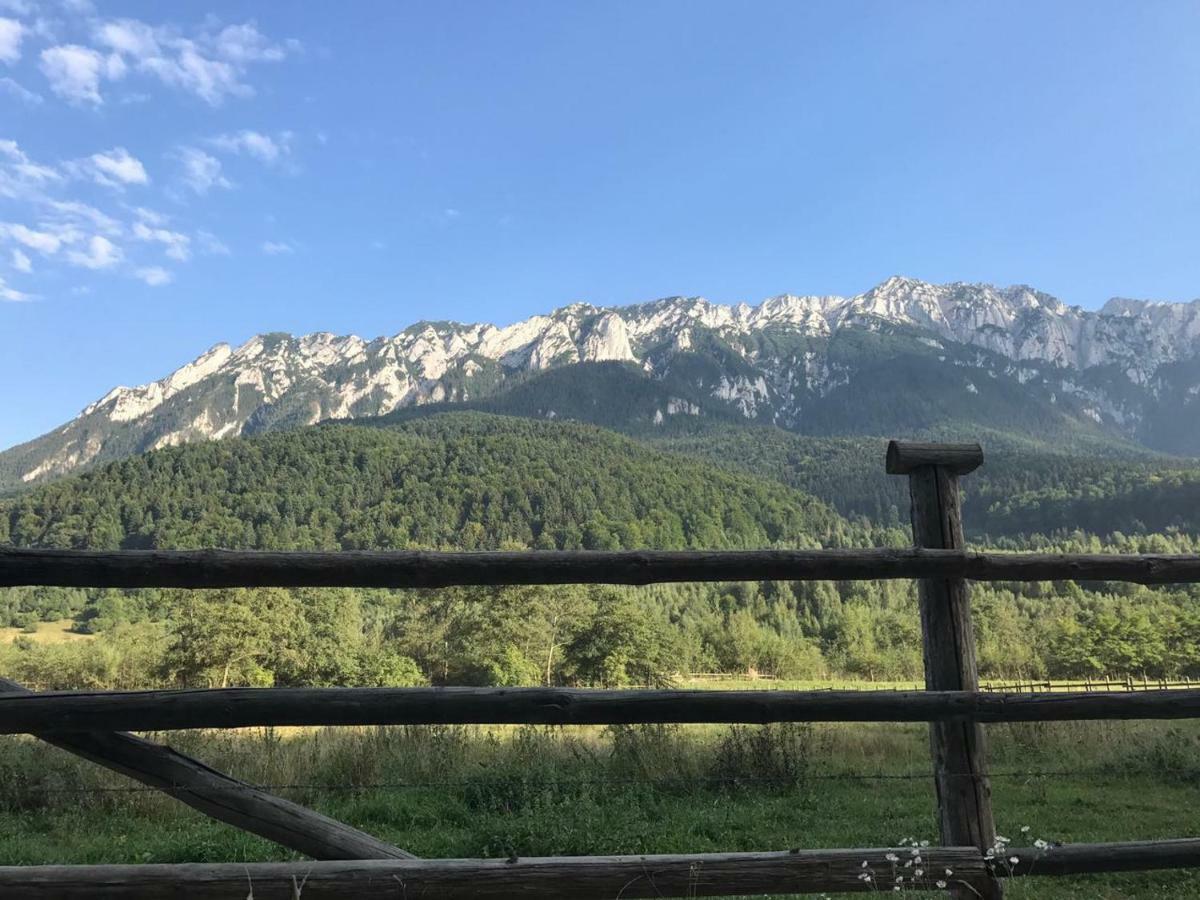 Pensiunea Kyfana Zărneşti Exterior foto